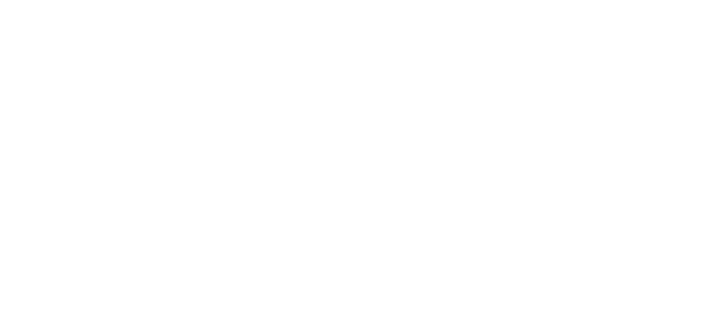 SGEB logo blanc